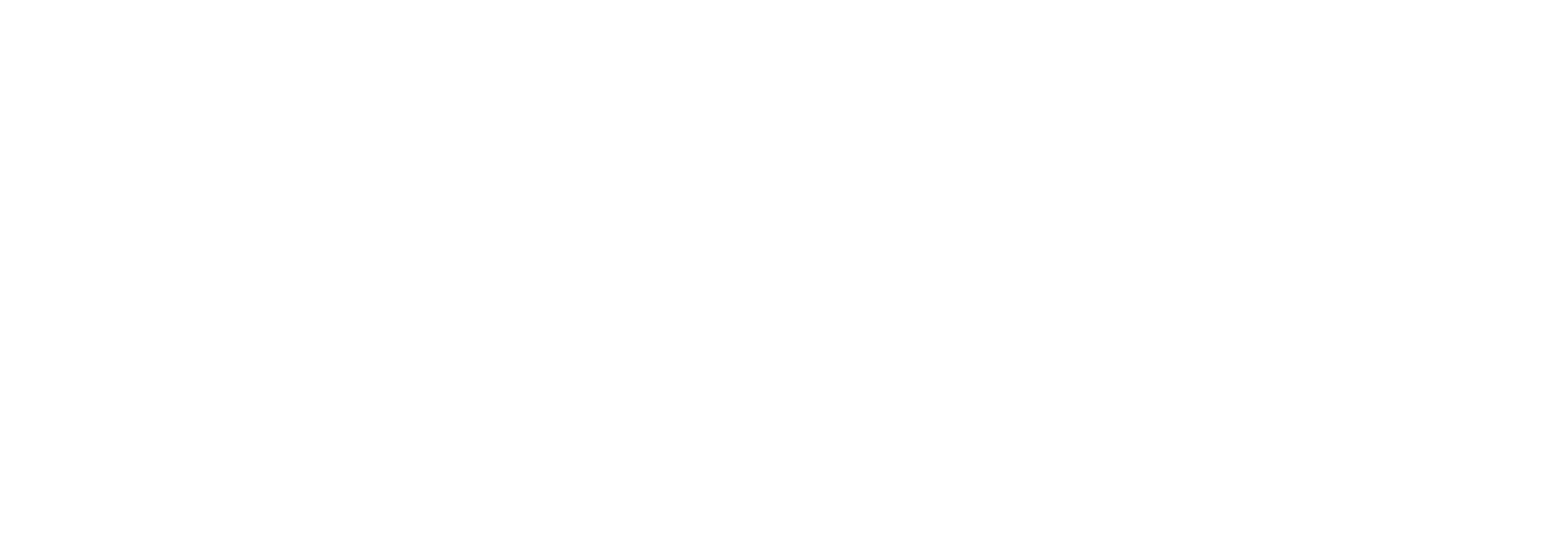 Polyus Tax logo